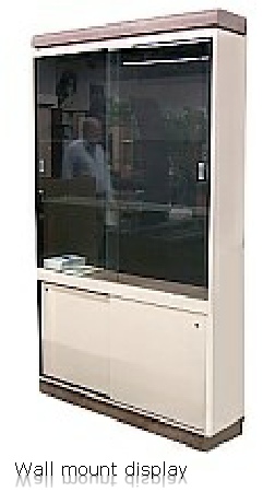Wall mount display